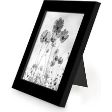 5x5 Picture Frame With Polished Plexiglass - Set Of 12 - - Picture Frames With Engineered - Square Frame For Tabletop And Display -