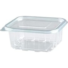 500 Gr. Plastik Sızdırmaz Kap 100 Adet