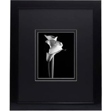 Mikasa Parlak Siyah Galeri Duvar Çerçevesi 16X20 Mat 8X10, 18,82X0,87X22,76