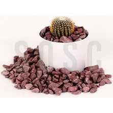 Bordo Çakıl Taşı Dolomit Taşı Bahçe Süsü Akvaryum Taşı Dere Çakıl Taşı 2-3 cm 1 kg