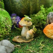 Top Minyatür Bahçesi ve Teraryum Mantar Heykeli Üzerinde Mini Kurbağalar