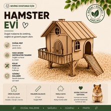 Algwood Ahşap Hamster Evi ve Oyun Alanı - Küçük Evcil Hayvanlar Için Aktivite ve Labirent Kiti - Boyanabilir