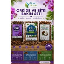 Hüskon Ticaret Ithal Çam Kabuğu, Kil Bilyesi ve Cocohusk Içeren Profesyonel Orkide Toprağı Değişim Seti