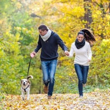 Geri Çekilebilir Köpek Tasması, 2m Köpek Tasma Kaymaz Tutacak, Tek Elle Frenleme, Durdurma ve Kilit, Küçük Köpekler Için