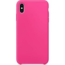 Skygo Xs Max Için Kılıf Lansman Silikon Pitaya [ Xs Max ile Uyumlu Kılıf - ]