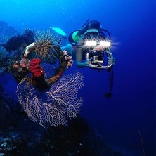 Suptig Slr Kamera Gopro Kamera Suptig Işık ve Diğer Aksiyon Kameraları Için Montaj Işık Adaptörü Soğuk Ayakkabı Montaj Adaptörü (2'li Paket) Siyah