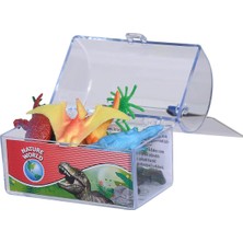 104342250, Hazine Sandığında Dinozorlar, 6 Adet Dino, 6-7 cm Boy, Kulplu Kutu, Aksesuarlar