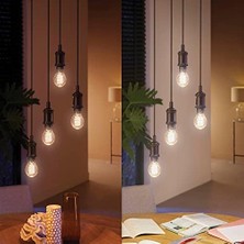 Hue E27 Filament A60 550 Lm, Sıcak Beyaz Işık, Kısılabilir, Uygulama Üzerinden Kontrol Edilebilir, Amazon Alexa (Echo, Echo Dot) ile Uyumlu