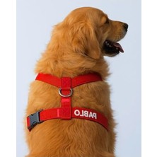 Esranın Dünyası Kişiye Özel Numaralı Güvenlik Amaçlı Köpek Göğüs Tasması