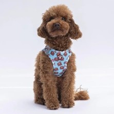 Esranın Dünyası 2xs Boyutunda Air-Mesh Köpek Göğüs Tasması