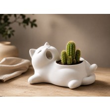 Sylva Concept Minimalist Kedi Saksı | Dekoratif Sukulent & Kaktüs Saksısı | Modern Beyaz Masa Üstü Saksı | Estetik Ev Ofis Dekoru