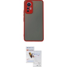 Xiaomi Uyumlu Mi 12 Lite Kılıf Ahenk Çizgi Serisi Ikili Koruma Seti