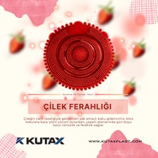 Kutax Çilek Aromalı - Lavabo Pisuvar Süzgeci Koku Giderici