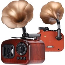 Hereveoyuncak Gramofon Müzik Kuutusu