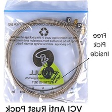 Esranın Dünyası Pitbull Gold Seri Elektro Gitar Teli Set (09-42 Super Light, Tekli Set)