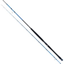 Ryuji Shore Game Fuji 2.85M 25-85GR 2p Shore Jig Kamış