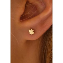 Moom Mücevherat 14 Ayar Altın Vidalı Yonca Tragus Küpe