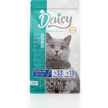 Daisy Premium Somonlu Kısırlaştırılmış Yetişkin Kedi Maması 2 kg - Yüksek Proteinli