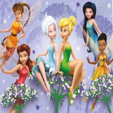 Zenvia Mey Ithalat® 714 Fairies Puzzle 100