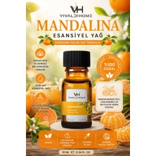 Vivaldi Home Mandalina Aromaterapi Esansiyel Yağ 10 ml – Canlandırıcı Narenciye Aroması