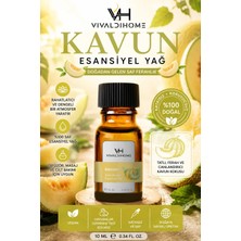 Vivaldi Home Kavun Uçucu Yağ ,buhurdanlık Yağı, Doğal Uçucu Yağ, Oda Kokusu, Aromaterapi Yağ, Esansiyel Yağ