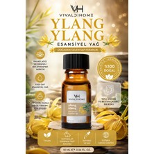 Vivaldi Home Ylang Ylang Uçucu Yağ Buhurdanlık Yağı Doğal Uçucu Yağ Oda Kokusu Aromaterapi Yağ Esansiyel Yağ