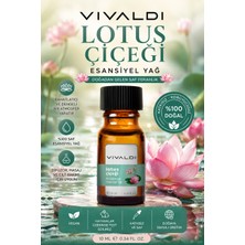 Vivaldi Home Lotus Uçucu Yağ Oda Kokusu Stresi Azaltıcı 10 ml Doğal Aromaterapi Yağı
