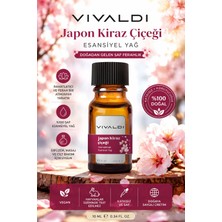 Vivaldi Home Japon Kiraz Çiçeği Esansiyel Yağ 10 ml Aromaterapi İçin Şık Cam Şişede Yoğun Aroma
