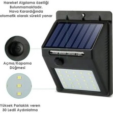 OtoTech DP53 Duvar Lambası