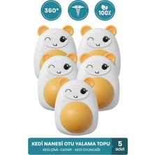 Organik Kedi Çimi Kedi Nanesi Otu Kedi Oyun Topu Avokado Kedi Otu Çimi Catnip Yavru Kedi Oyuncakları