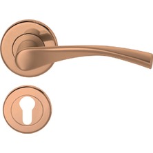 Condi Collection 1801 Pvd Bronz Yale Paslanmaz Çelik Kapı Kolu