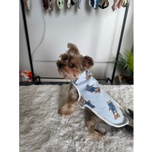 Zuzu Pet Fashion Mini Bear Spring Vest M