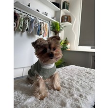 Zuzu Pet Fashion Ponpon Pati Tshirt M
