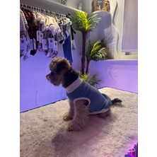 Zuzu Pet Fashion Mini Dolly Tshirt M