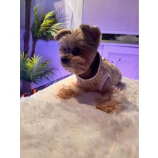 Zuzu Pet Fashion Sunny Bee Tshirt M