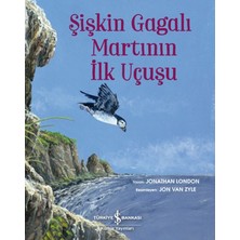 Binbir Göz Kitap Şişkin Gagalı Martının Ilk Uçuşu