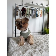 Zuzu Pet Fashion Safari Mint Tshirt S