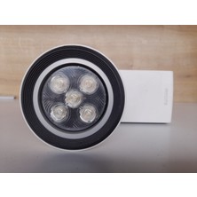 Philips Ray Spot