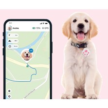 Ozcmax Mobil Uygulamalı Evcil Hayvann Takip Cihazı