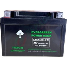 Espada EVERGREEN AKÜ YTX9A KURU 12V9AH YATIK FRECCIA150 DOMINAR D250 400
