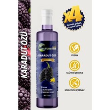NatureTime Premium Karadut Özü 350 gr Katkısız Doğal Pestisit & Ağır Metal İçermez Analizli