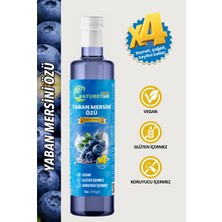 NatureTime Premium Yaban Mersini Özü 350 gr Katkısız Doğal Pestisit & Ağır Metal İçermez Analizli