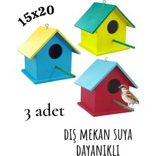 Değerli Hobi Ahşap Kuş Yuvası Renkli Vernikli Dış Mekan Suya Dayanıklı 3 Adet