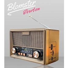 Güneş Enerjili Radyo, Fm, Sw, Bt, Nostaljik Müzik Çalar, Kahverengi