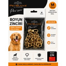 Petbucks Köpek Boyun Zinciri