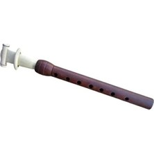Erik Mey Küçük Boy 20 Cm, Kamış Hediye ile Taze ve Lezzetli