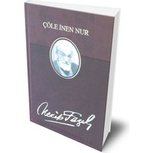 Binbir Göz Kitap Çöle Inen Nur (Deri Ciltli)