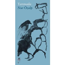 Binbir Göz Kitap Yarımada