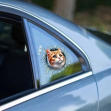 Mey İthalat Mey Ithalat® Fulcar Sarman Araç Stickerı