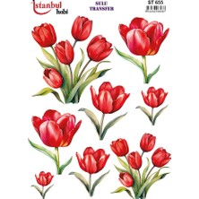 İstanbul Hobi Açık Zemin Sulu Transfer (25 * 35 Cm) St 655